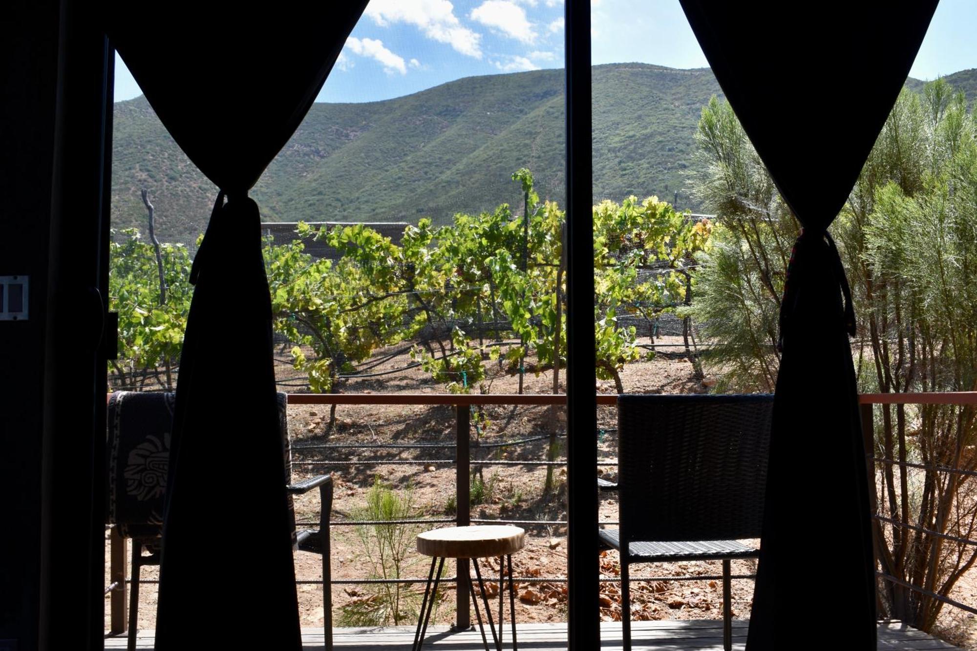 瓜达鲁佩镇Uvauva Eco-Retreat住宿加早餐旅馆 外观 照片